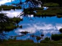 P8227482