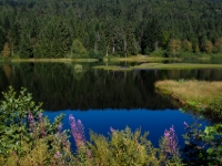 P8267772
