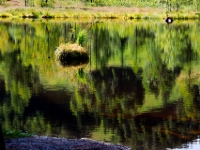 P8228614