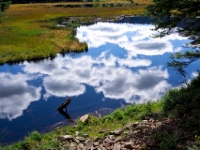 P8228626