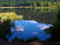 P8228652