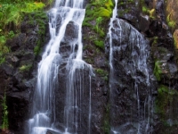 P8248782