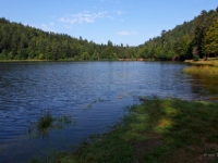 P8258847