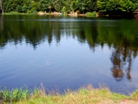 P8258851