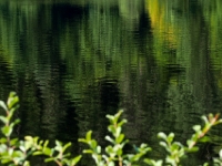 P8258885