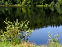 P8258891