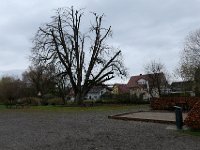 P1000038