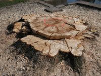 P1011361