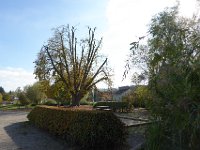 P1040879
