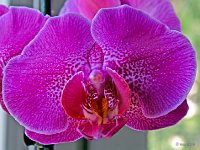 P5250704PS-2