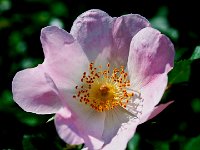 P5250753PS