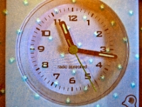 P1000420-2