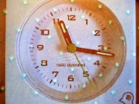 P1000420-3
