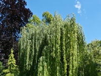 P1011573