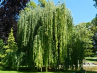 P1011574