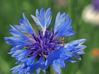 P6150920PS