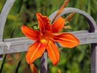 P6150969PS