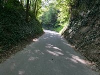 P1012417