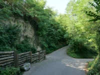P1012422