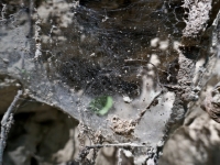 P1012425