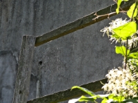 P1012440