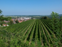 P1012470