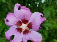 P1012587