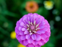 P1012632