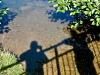 P1012693