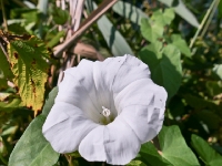 P1012699