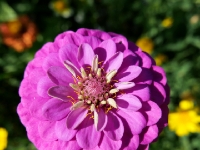 P1012709