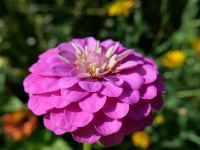 P1012710