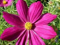 P1012715