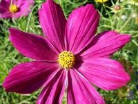 P1012716