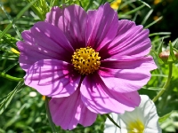 P1012720