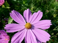 P1012723