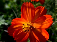 P1012729