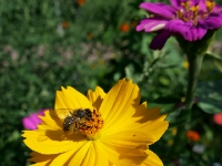 P1012730