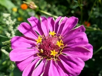 P1012737