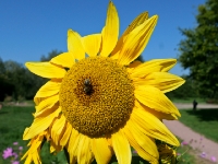 P1012756