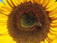 P1012761