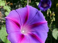 P1012764