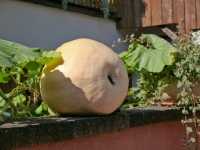 P1012769
