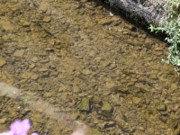 P1012771