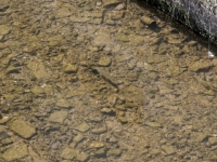 P1012772