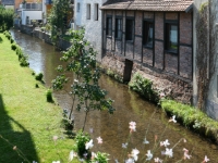 P1012778