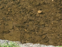 P1012779