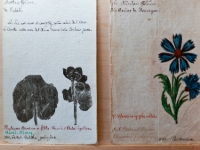 P1012798