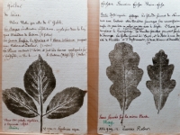P1012799