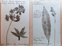 P1012801